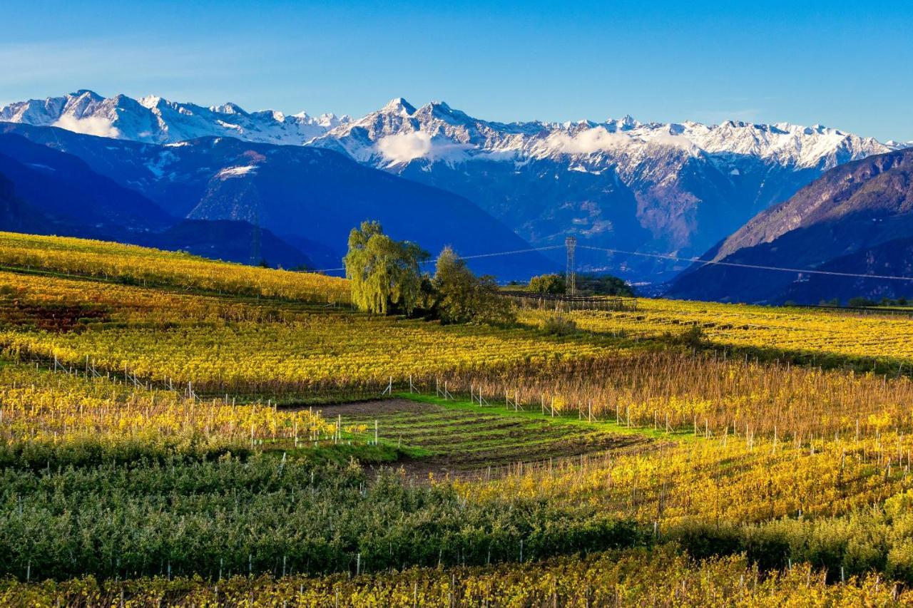 Softalpin Garden Suites Appiano Sulla Strada Del Vino Ngoại thất bức ảnh